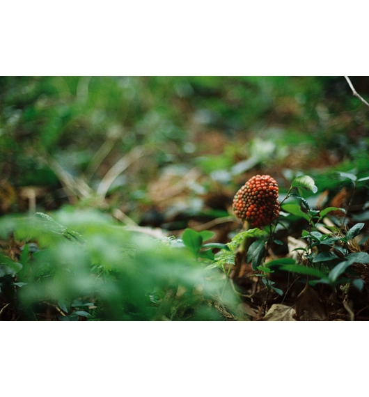 06.jpg