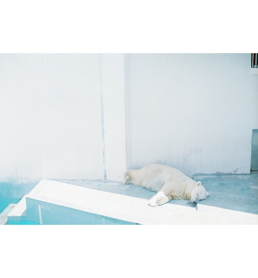 01.jpg