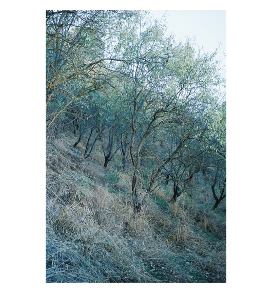 07.jpg