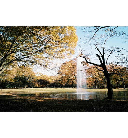 06.jpg
