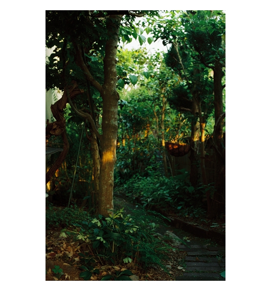 08.jpg