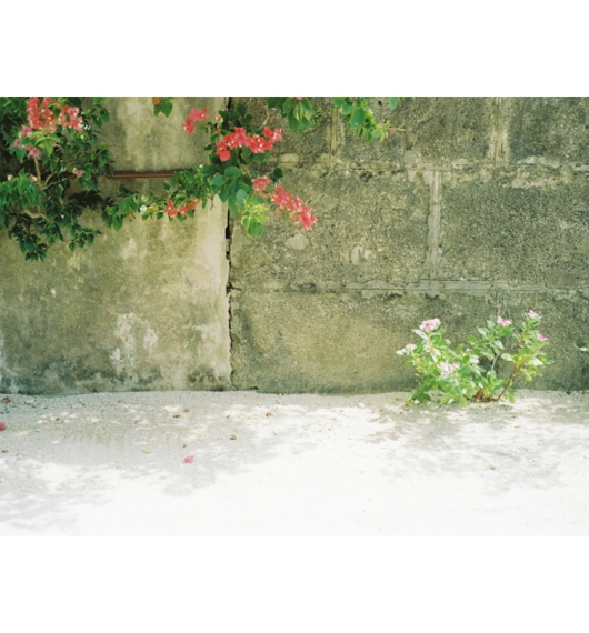 06.jpg