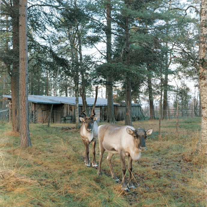 p058.jpg